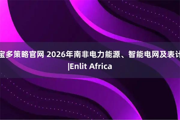 华宝多策略官网 2026年南非电力能源、智能电网及表计展|Enlit Africa