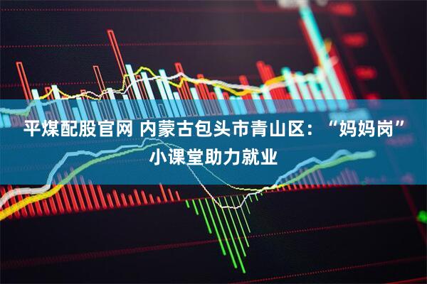 平煤配股官网 内蒙古包头市青山区：“妈妈岗”小课堂助力就业