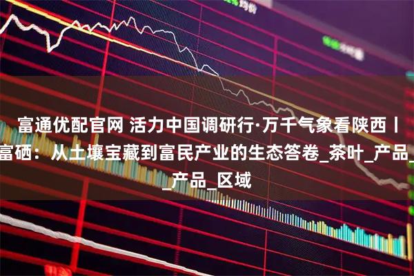 富通优配官网 活力中国调研行·万千气象看陕西丨安康富硒：从土壤宝藏到富民产业的生态答卷_茶叶_产品_区域